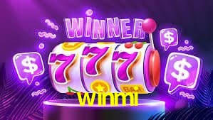 Platform Technology winmi
