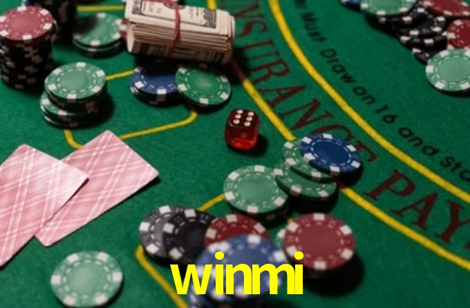 Premium Interface winmi